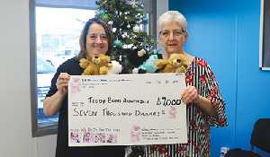 Southeast Teddy Bears Anonymous online auction raises $7,000 